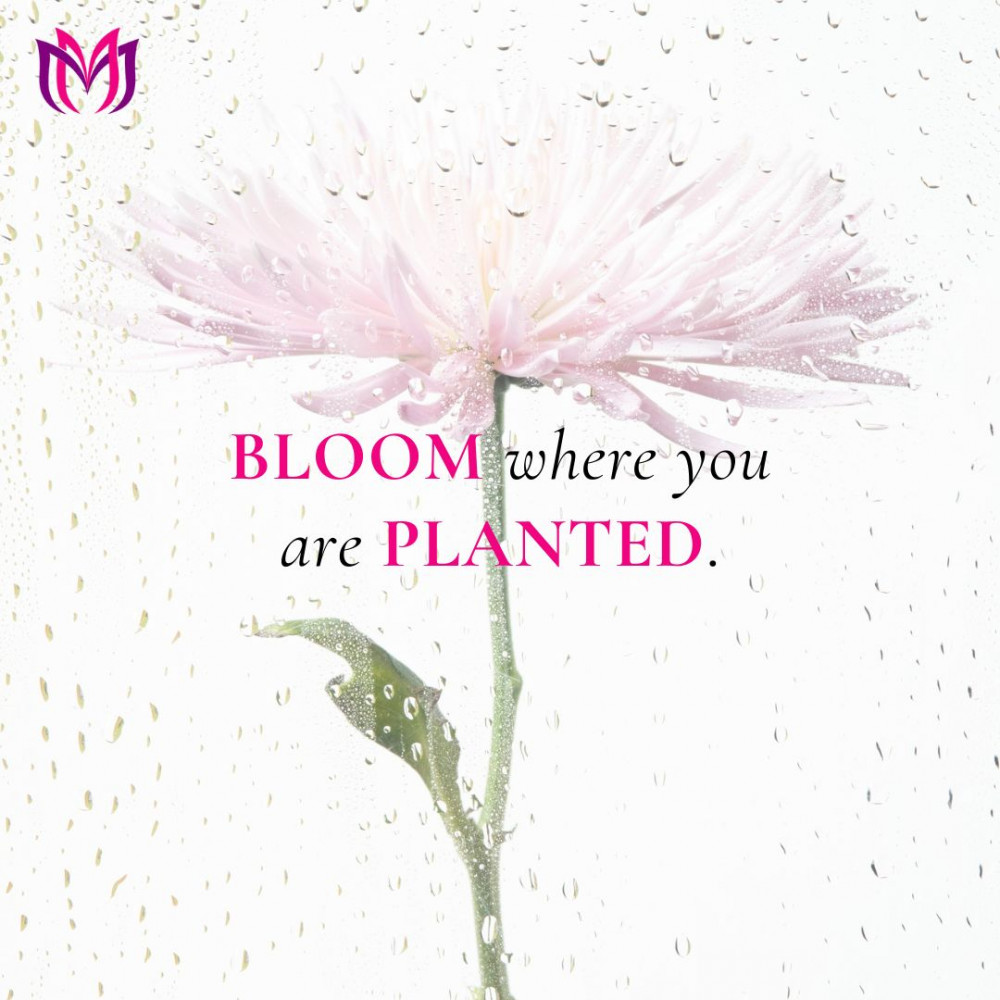 Welcome to our page!